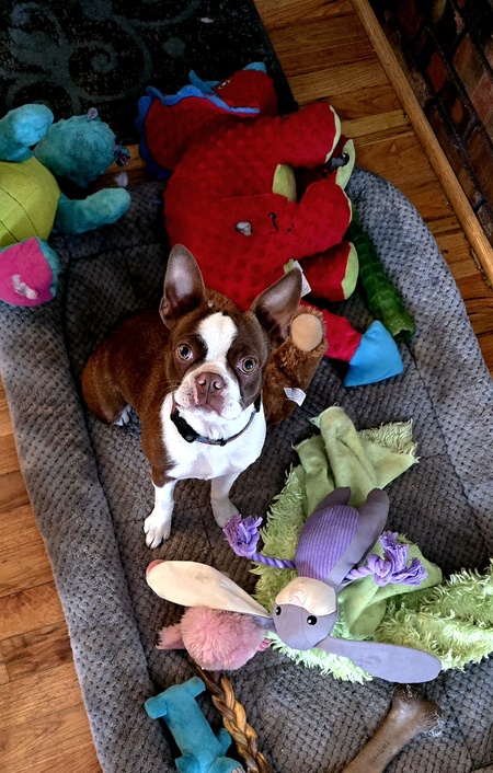 Entry image for Tessie. Clicking this image will show a larger photo