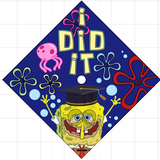 Entry image for Robert 