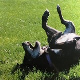 Entry image for Kiera