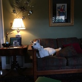 Entry image for Allie