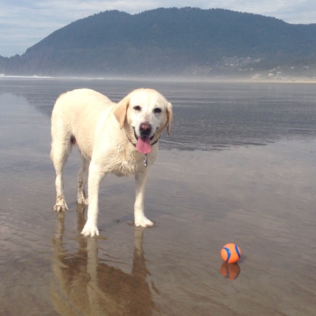 Entry image for Lilly. Clicking this image will show a larger photo