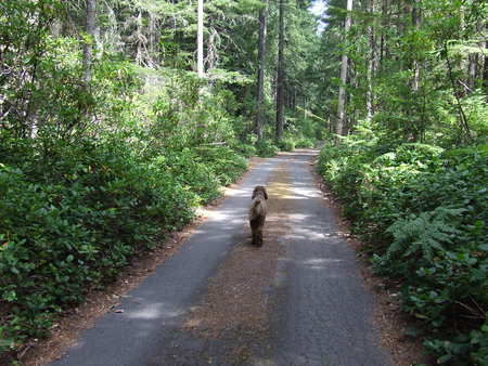 Entry image for Sophy. Clicking this image will show a larger photo