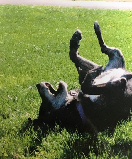 Entry image for Kiera. Clicking this image will show a larger photo