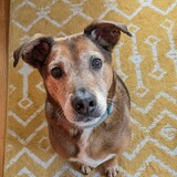 Entry image for Malcolm