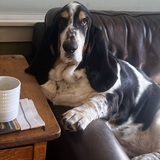 Entry image for Ezra