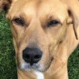 Entry image for Maggie Lou