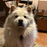 Entry image for Mario