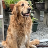 Entry image for Walter Rue Baker