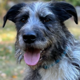 Entry image for Maverick