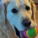 Entry image for Keva