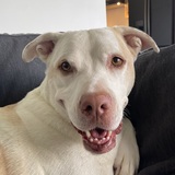 Entry image for Oakley