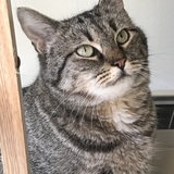 Entry image for Katie