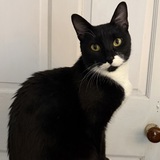 Entry image for Reba