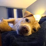 Entry image for Otis