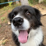 Entry image for Bradlee