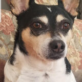 Entry image for Maggie Grant