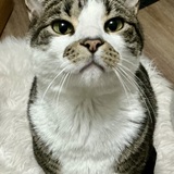 Entry image for William Beansworth