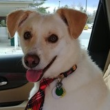 Entry image for Tobi