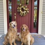 Entry image for Jackson and Lucy