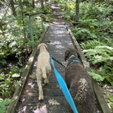 Entry image for Cody (left) Jolene (right)