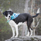Entry image for Benny