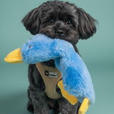 Entry image for Bentley
