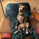 Entry image for Lulu