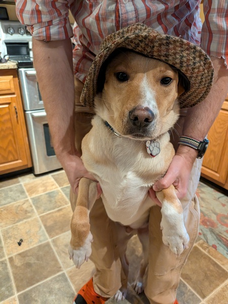 Entry image for Gustav. Clicking this image will show a larger photo