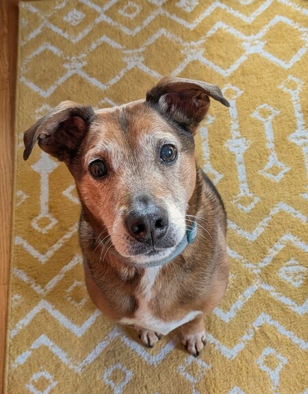 Entry image for Malcolm. Clicking this image will show a larger photo