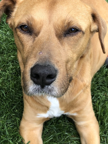 Entry image for Maggie Lou. Clicking this image will show a larger photo