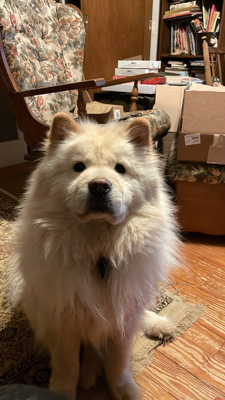 Entry image for Mario. Clicking this image will show a larger photo