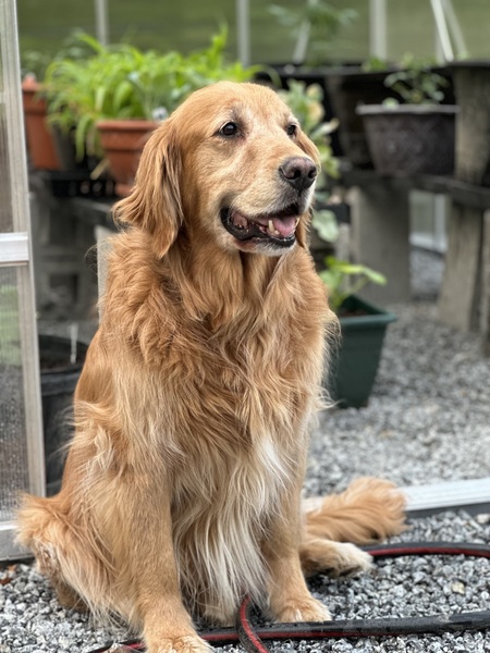 Entry image for Walter Rue Baker. Clicking this image will show a larger photo