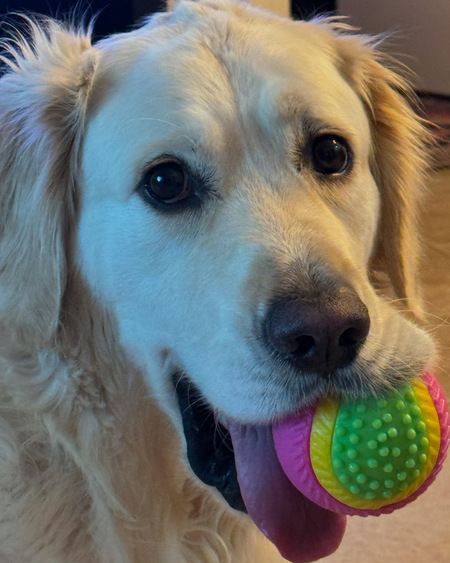 Entry image for Keva. Clicking this image will show a larger photo