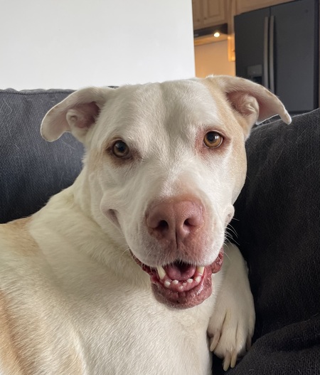 Entry image for Oakley. Clicking this image will show a larger photo