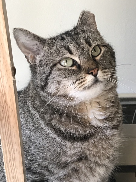 Entry image for Katie. Clicking this image will show a larger photo