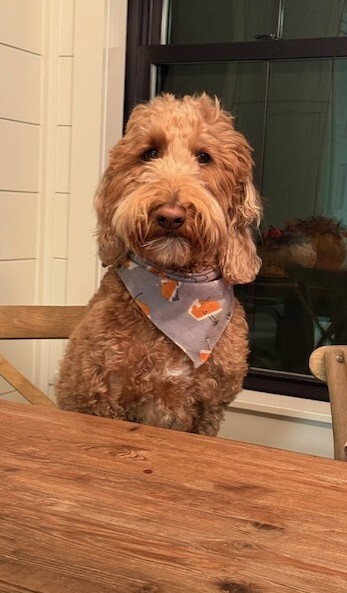 Entry image for Tucker-Pickles. Clicking this image will show a larger photo