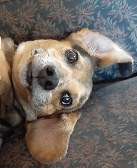 Entry image for RJ. Clicking this image will show a larger photo