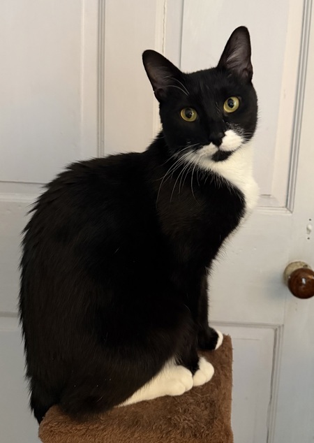 Entry image for Reba. Clicking this image will show a larger photo