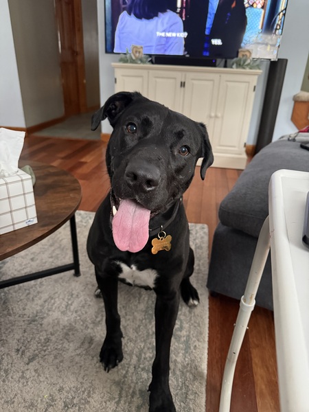 Entry image for Guinness. Clicking this image will show a larger photo