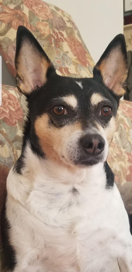 Entry image for Maggie Grant. Clicking this image will show a larger photo