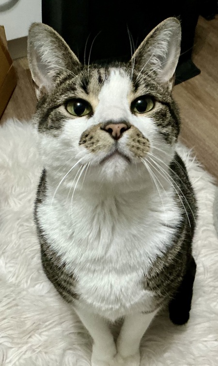 Entry image for William Beansworth. Clicking this image will show a larger photo