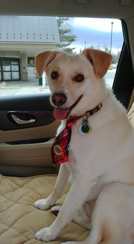 Entry image for Tobi. Clicking this image will show a larger photo