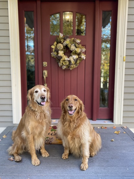 Entry image for Jackson and Lucy. Clicking this image will show a larger photo