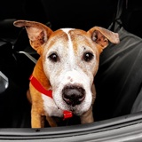 Entry image for Andy