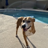 Entry image for Riley