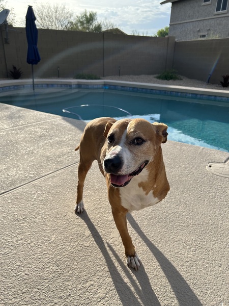 Entry image for Riley. Clicking this image will show a larger photo
