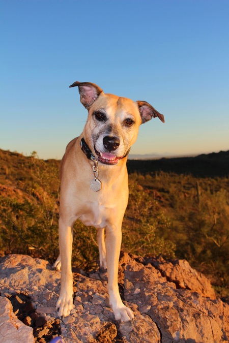 Entry image for Khai. Clicking this image will show a larger photo