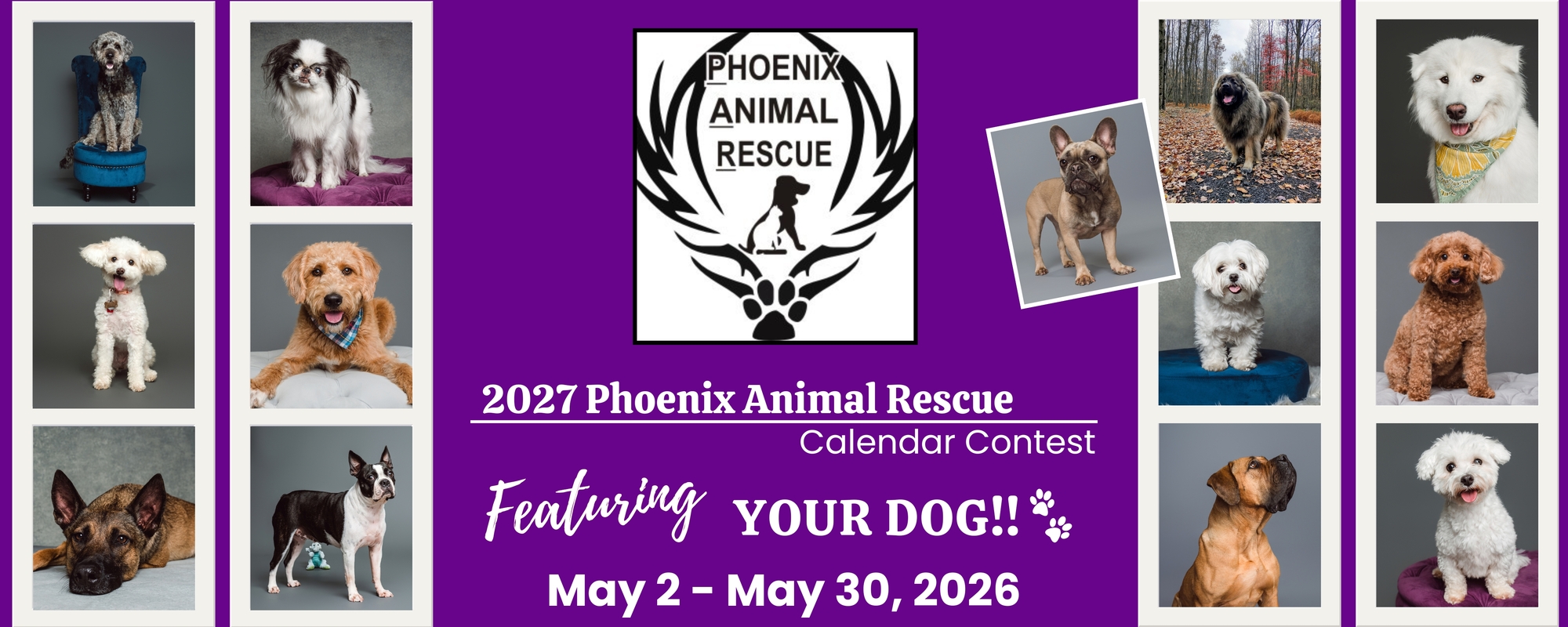 Banner for Phoenix Animal Rescue 2027 Calendar Contest