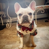 Entry image for Melvin