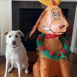 Entry image for Albert and his friend Max